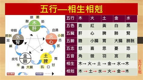 相生相剋|五行生剋(哲學理論):實質,特性,生克,劃分,物象歸類,相。